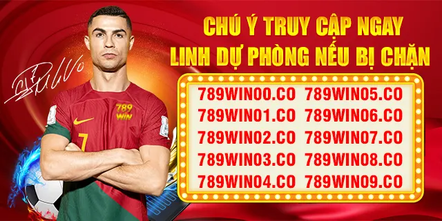 Sử dụng link dự phòng 789Win khi link chính bị chặn